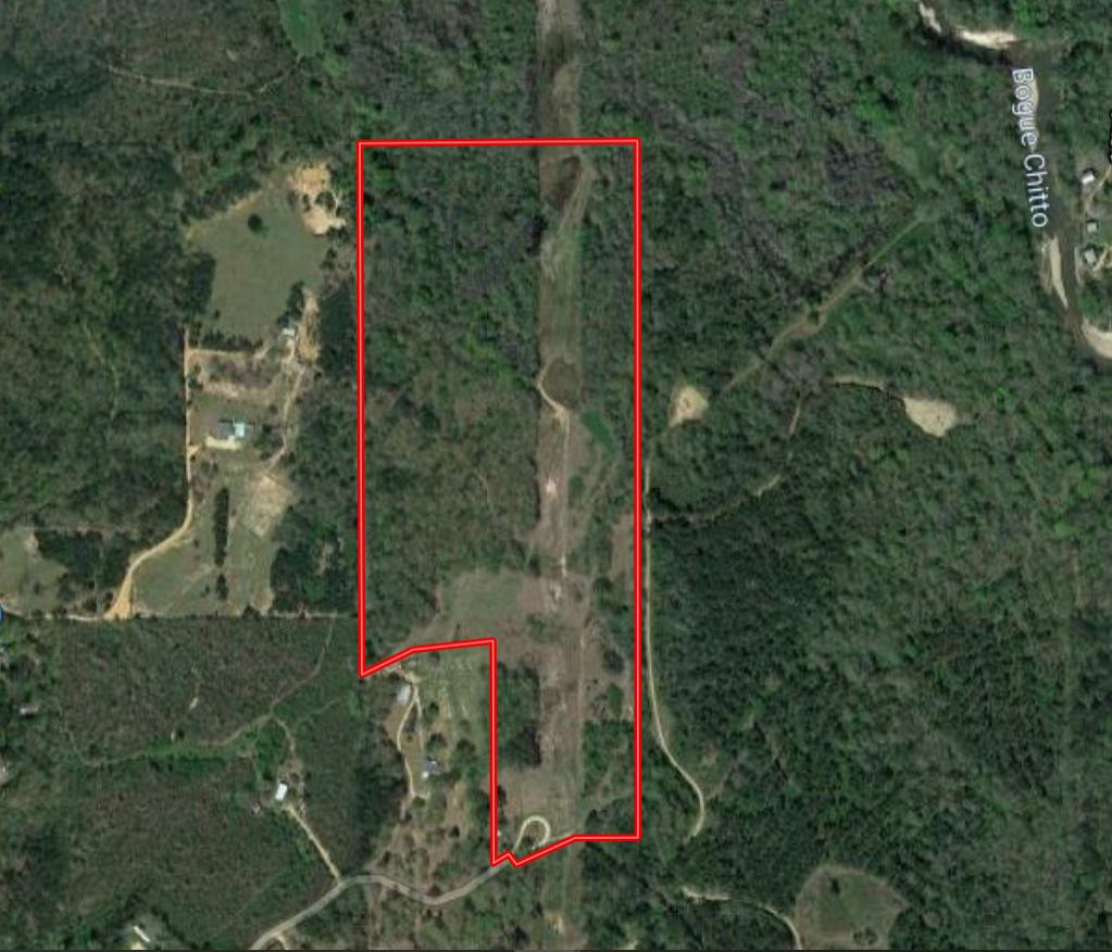 1108 Roy Deer Road Summit, MS 39666 - Photo 42 of 47 Aerial Map