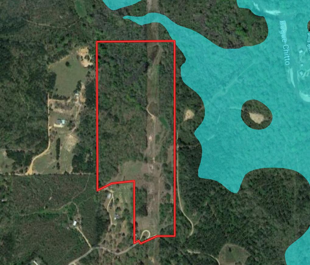 1108 Roy Deer Road Summit, MS 39666 - Photo 43 of 47 FEMA Flood Map