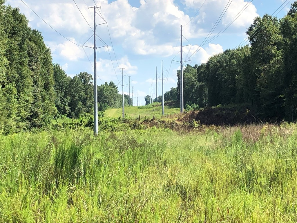 1108 Roy Deer Road Summit, MS 39666 - Photo 9 of 47 Photo 9