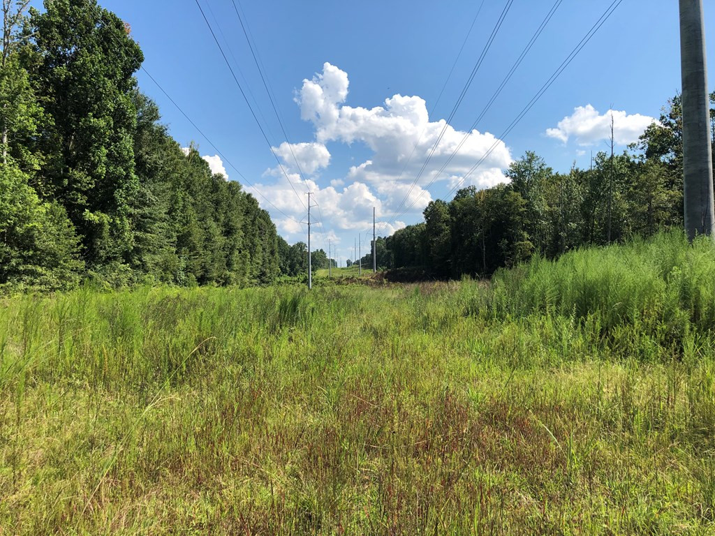 1108 Roy Deer Road Summit, MS 39666 - Photo 10 of 47 Photo 10