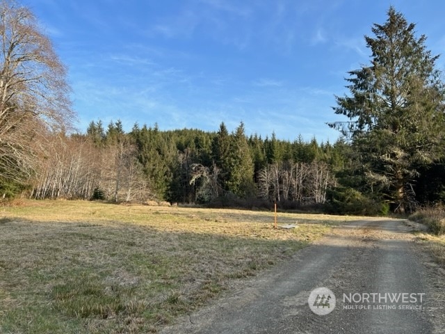 84 South Valley Road Naselle, WA 98638 - Photo 1 of 12 Gallery Image 1