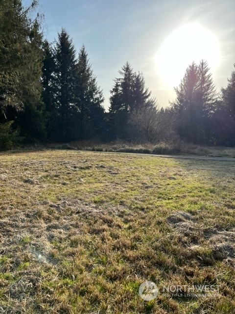 84 South Valley Road Naselle, WA 98638 - Photo 3 of 12 Gallery Image 3