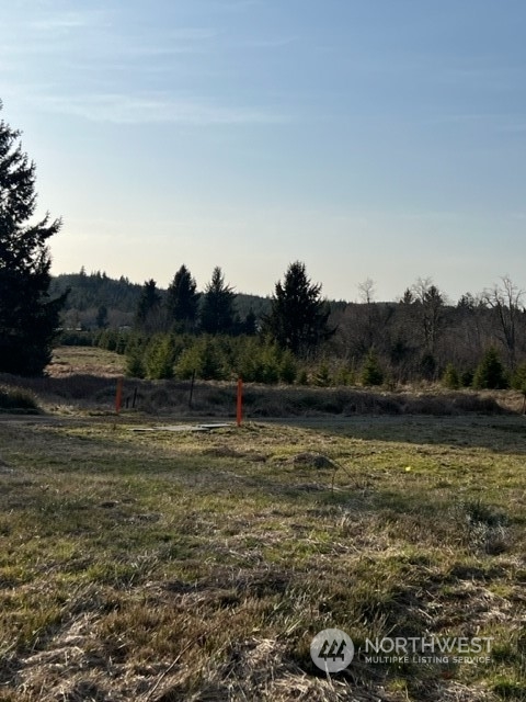 84 South Valley Road Naselle, WA 98638 - Photo 4 of 12 Gallery Image 4