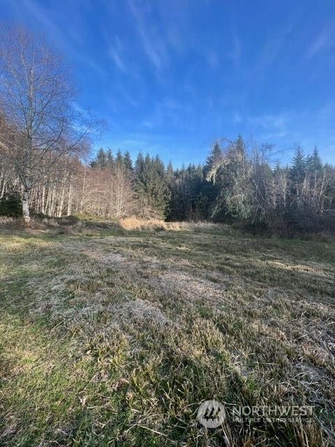 84 South Valley Road Naselle, WA 98638 - Photo 5 of 12 Gallery Image 5