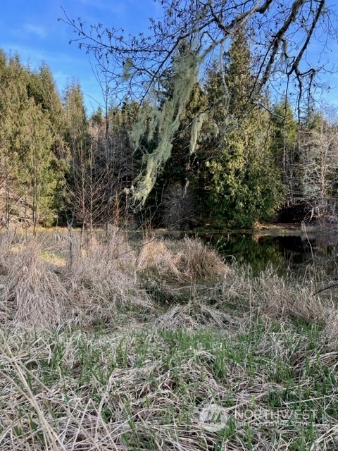 84 South Valley Road Naselle, WA 98638 - Photo 6 of 12 Gallery Image 6