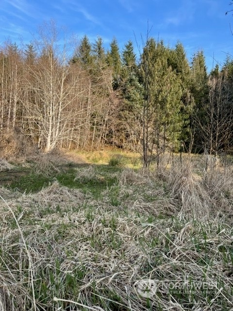 84 South Valley Road Naselle, WA 98638 - Photo 7 of 12 Gallery Image 7