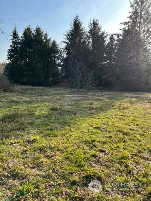 84 South Valley Road Naselle, WA 98638 - Photo 8 of 12 Gallery Image 8