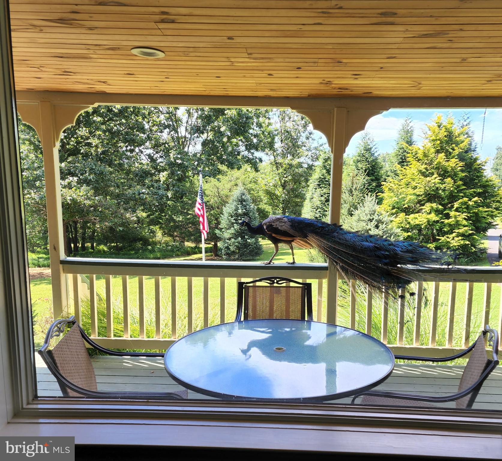 381 Slicers Mill Road Rising Sun, MD 21911 - Photo 17 of 28 What a View!