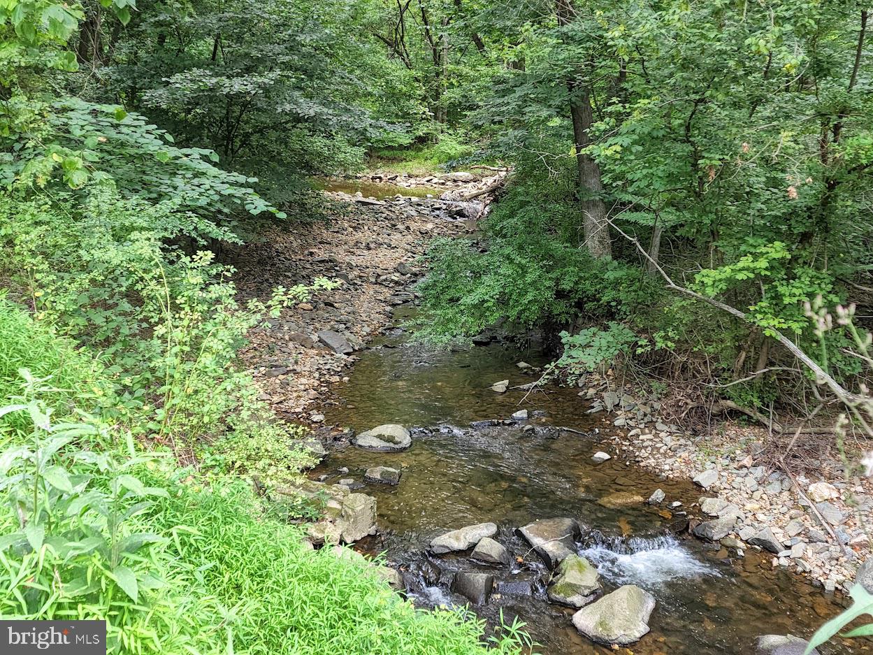 381 Slicers Mill Road Rising Sun, MD 21911 - Photo 23 of 28 Slicers Mill Road Creek