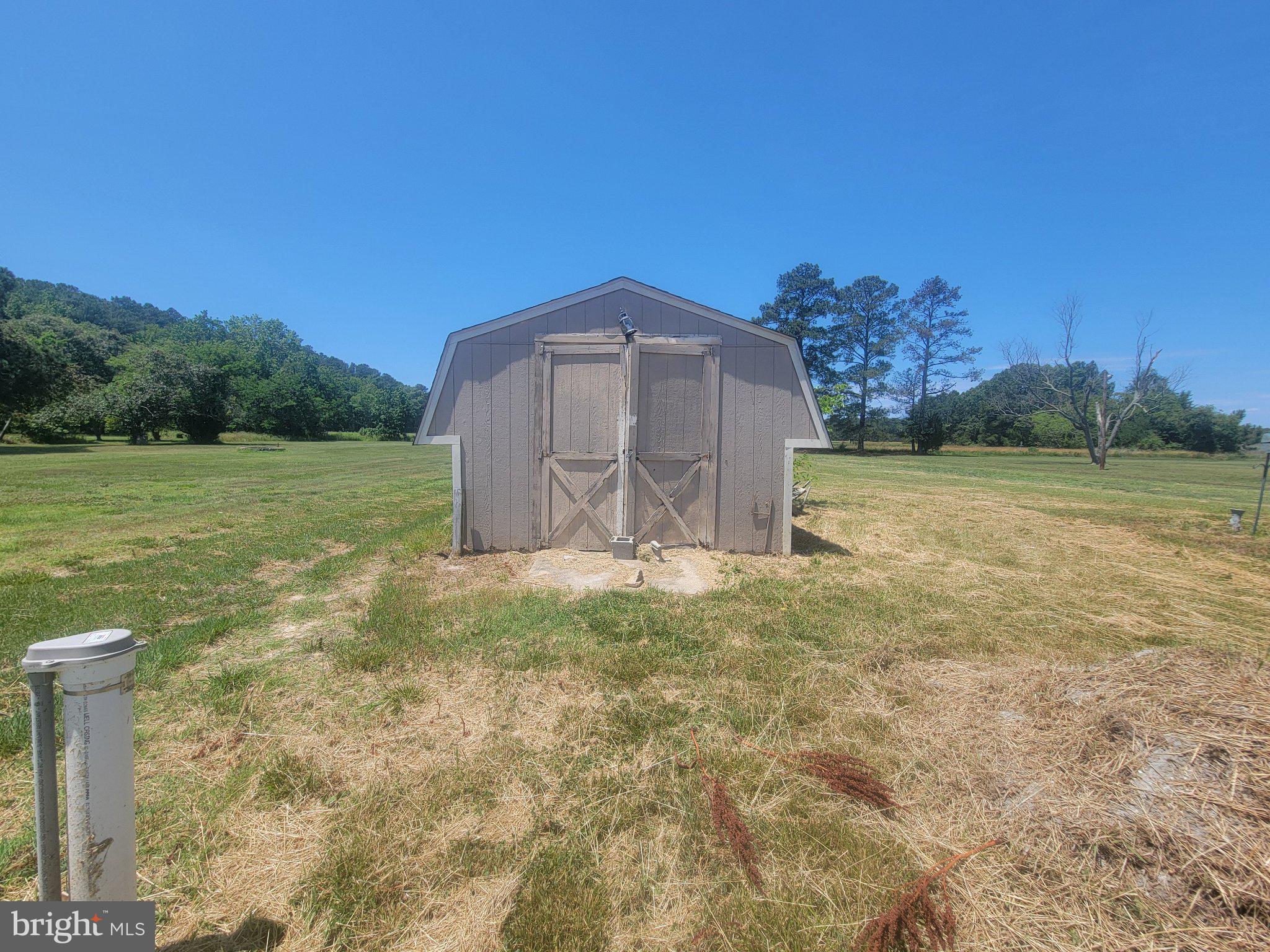 4658 White Marsh Road Madison, MD 21648 - Photo 6 of 25 Charming shed amidst lush greenery.