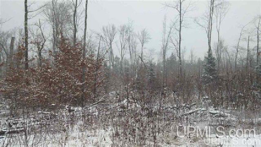 1787 Co Road Shingleton, MI 49884 - Photo 4 of 4
