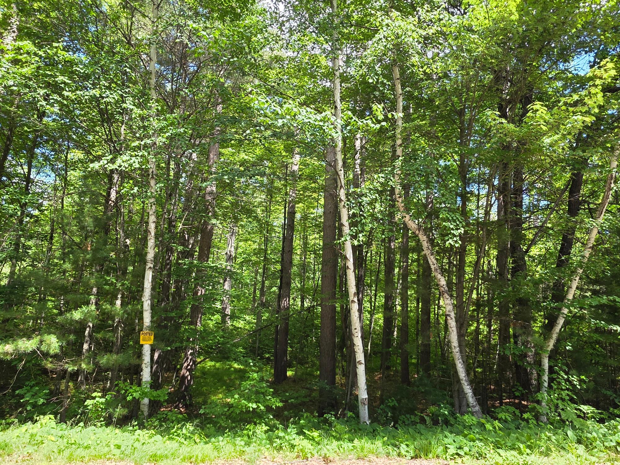N11478 Cottage Road Tomahawk, WI 54487 - Photo 7 of 27 Gallery Image 7