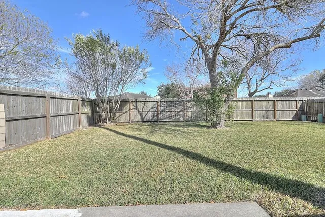 a view of backyard and tree