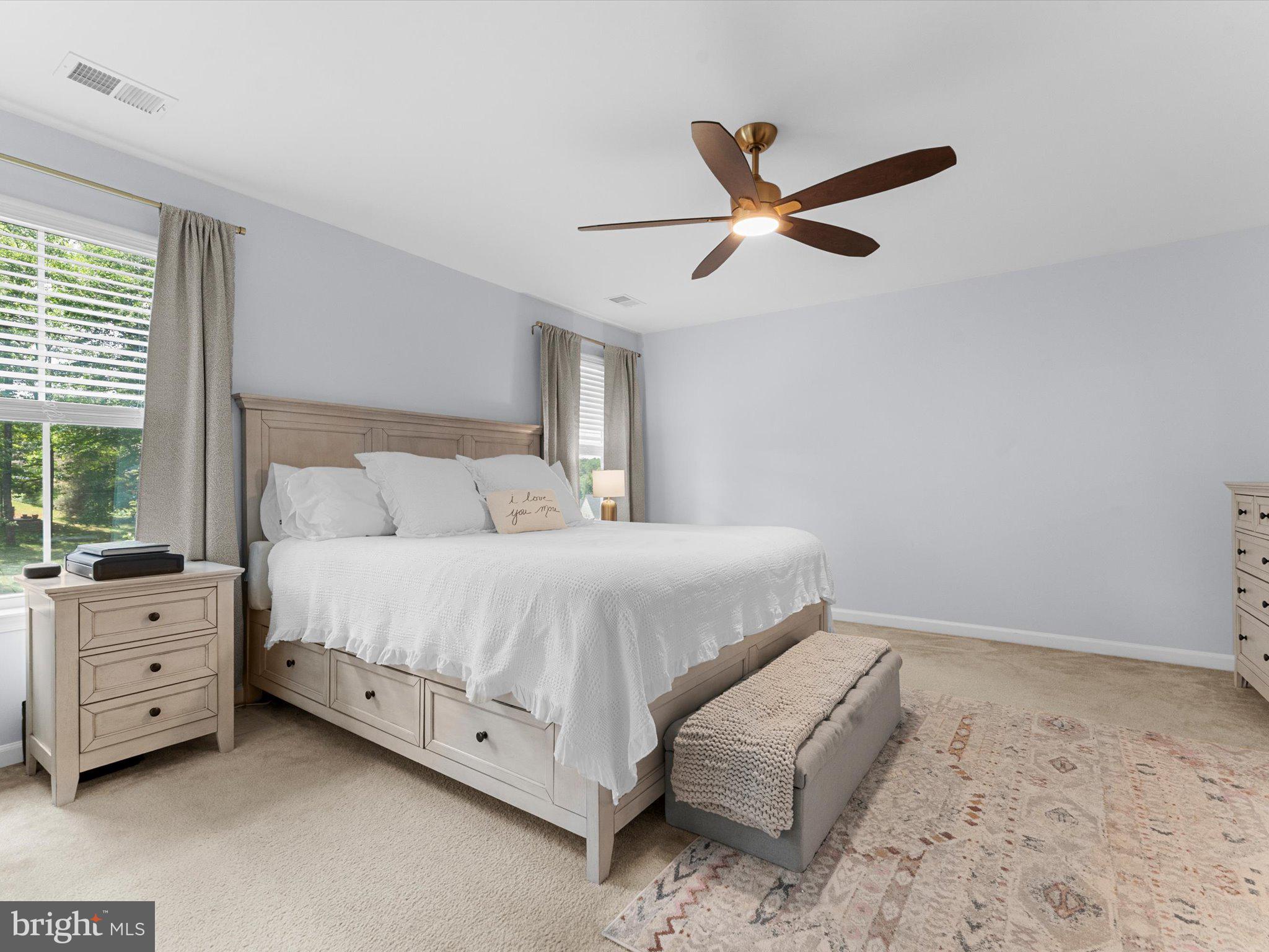 2381 Jersey Pine Ridge Charlottesville, VA 22911 - Photo 29 of 72 Serene bedroom with natural light.