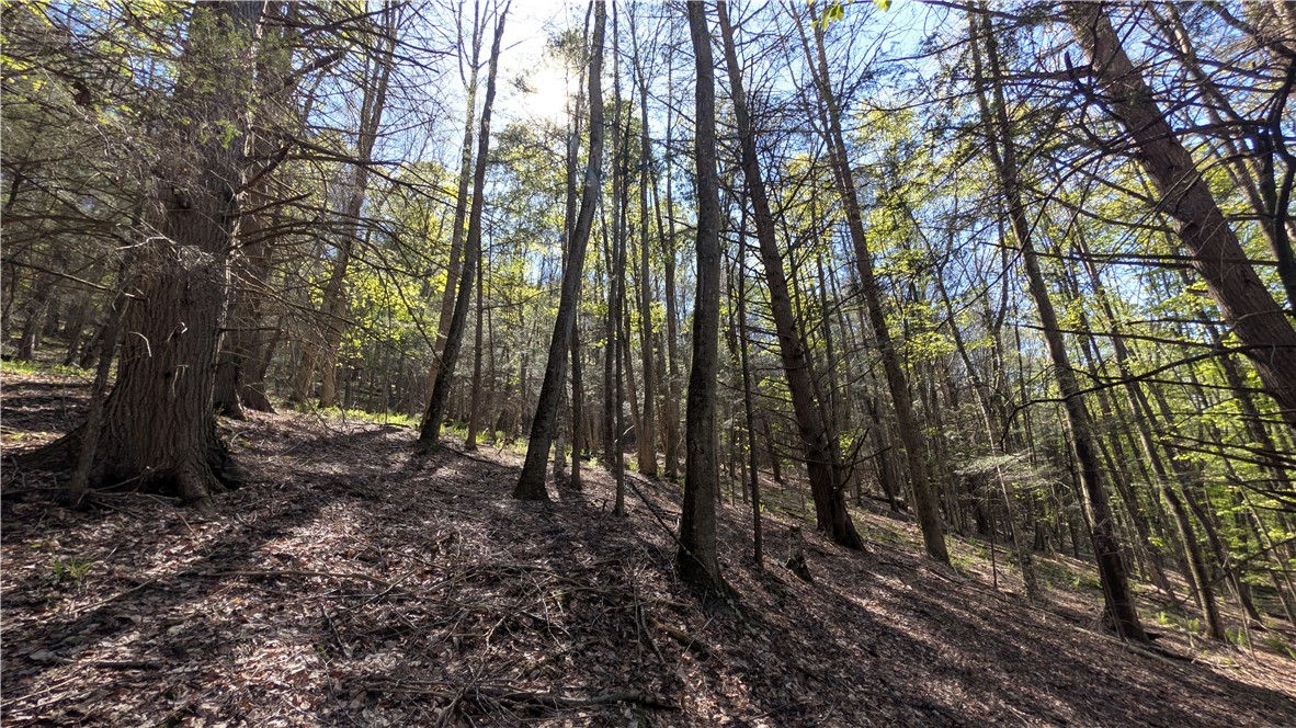 Lot 5 East River Road Andes, NY 13731 - Photo 22 of 39