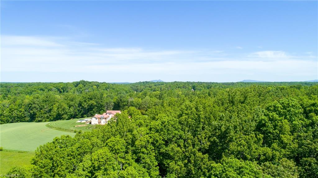 3260 Beroth Road Pfafftown, NC 27040 - Photo 25 of 29 Gallery Image 25
