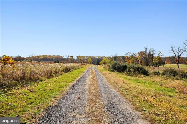 a view of a dry yard with wooden fence