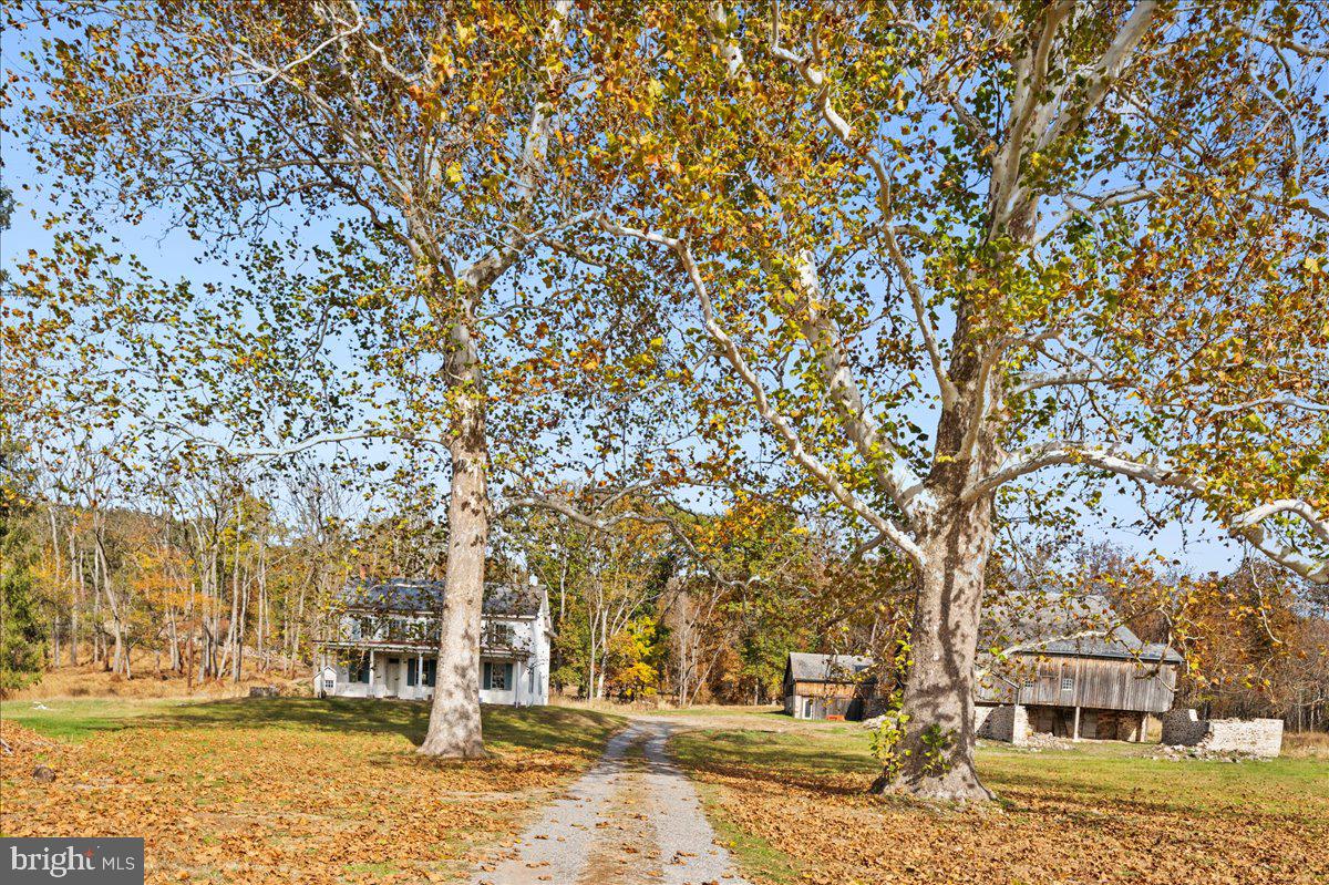 6859 Phillips Mill Road New Hope, PA 18938 - Photo 3 of 18 a view of city with tall buildings