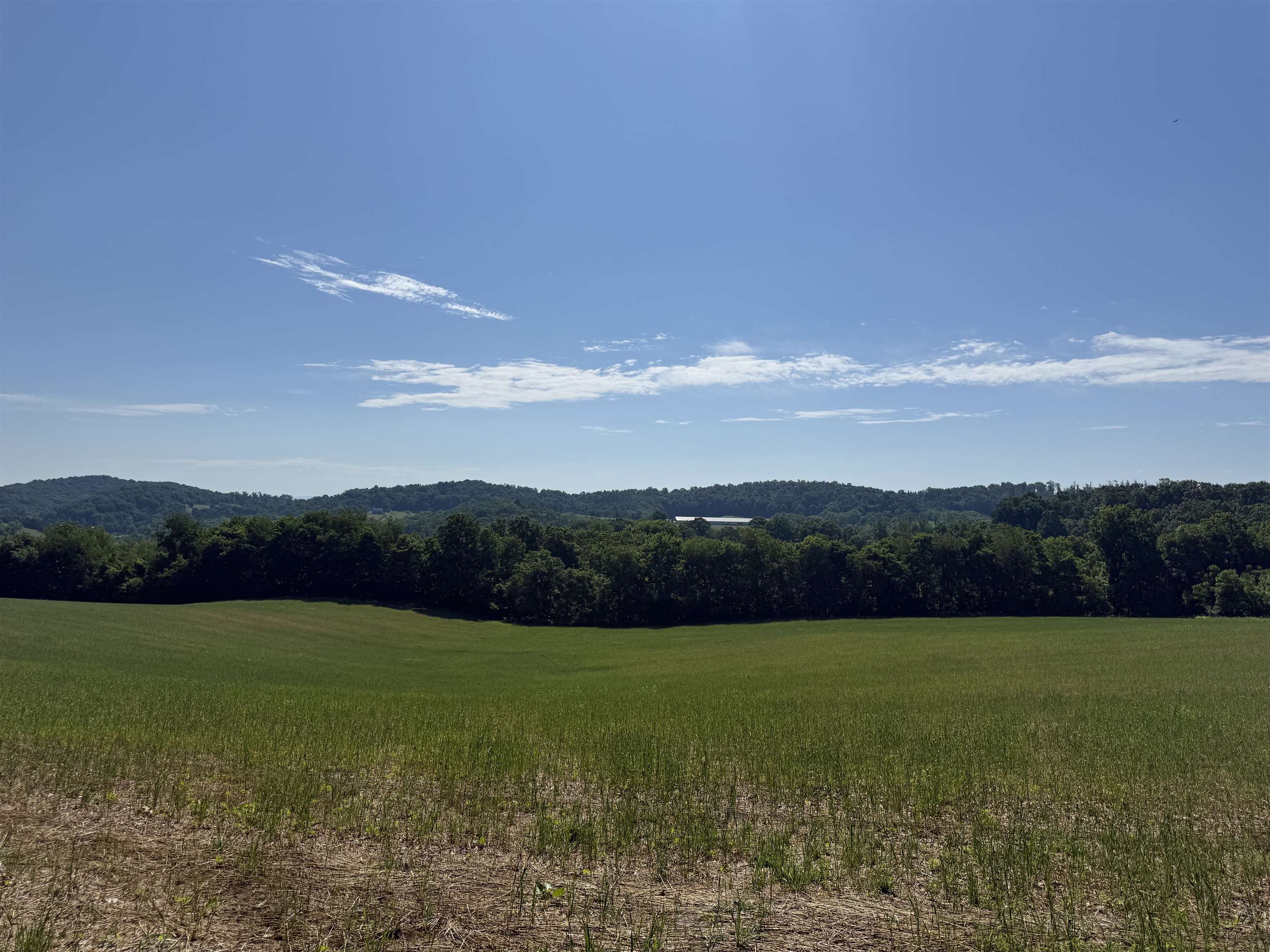 Tbd Arborhill Road Staunton, VA 24401 - Photo 18 of 25