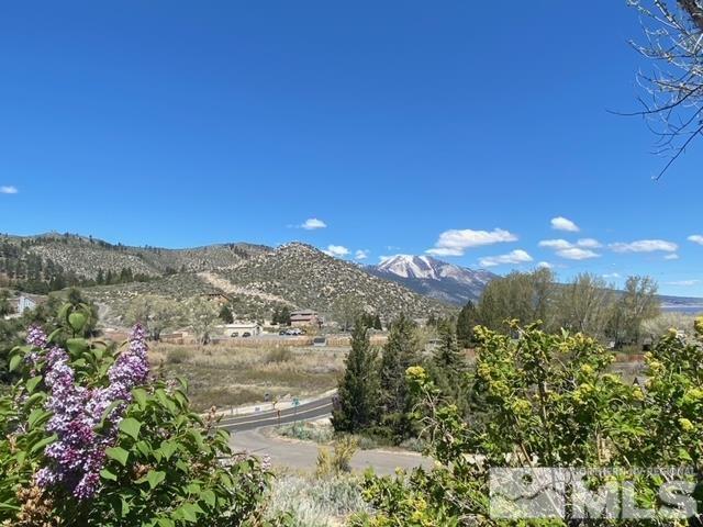 3611 Lakeview Road Carson City, NV 89703 - Photo 23 of 30 Photo 24