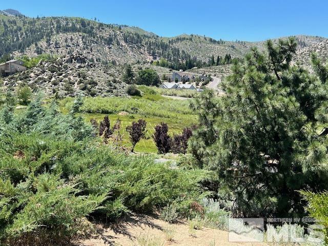 3611 Lakeview Road Carson City, NV 89703 - Photo 6 of 30 Photo 6