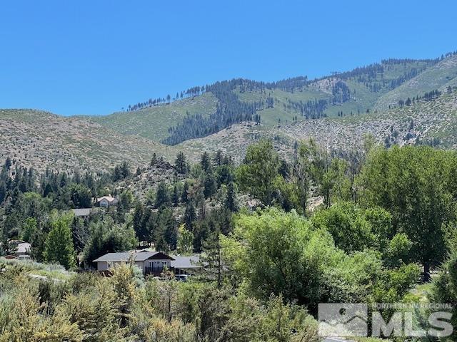 3611 Lakeview Road Carson City, NV 89703 - Photo 7 of 30 Photo 7
