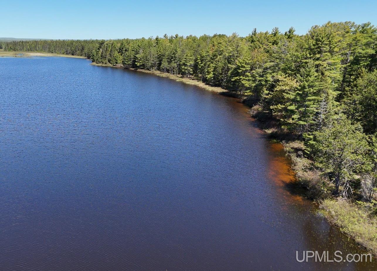 Tbd303 Little Rice Lk Road Lake Linden, MI 49945 - Photo 3 of 22