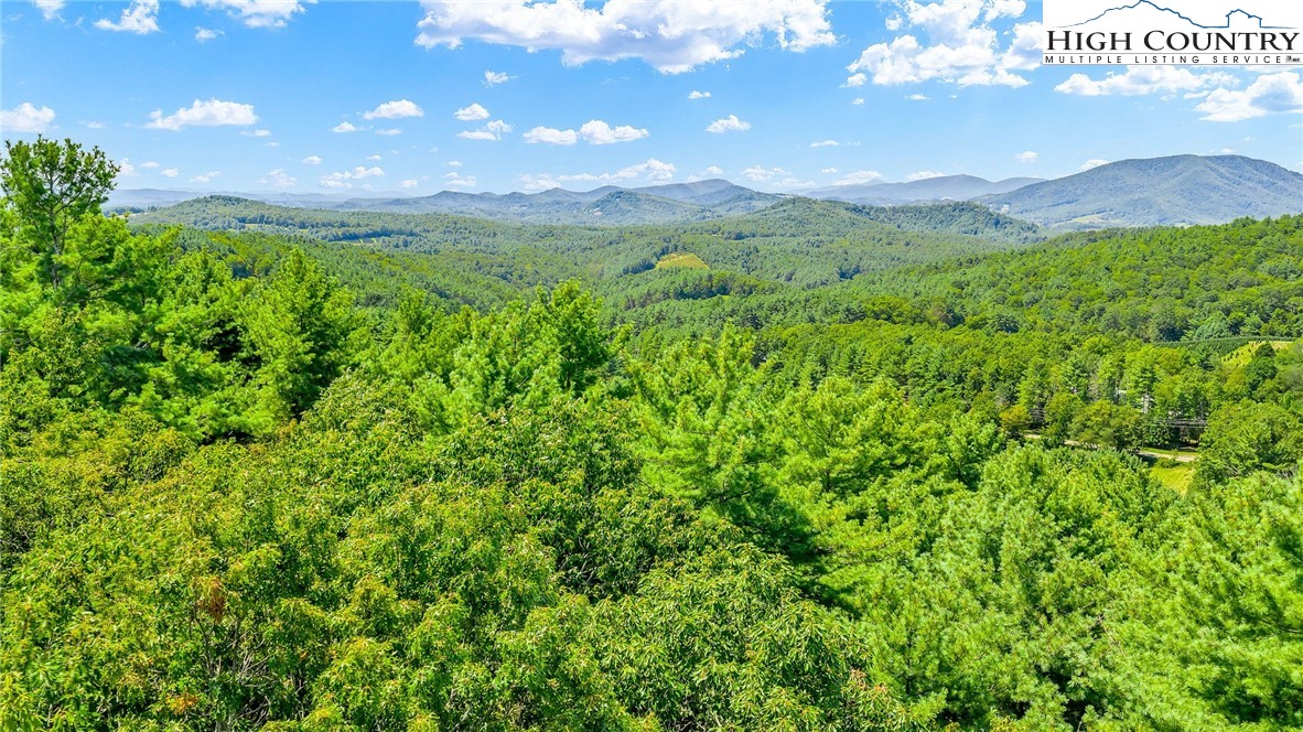 Low Gap Road Jefferson, NC 28640 - Photo 11 of 21 Gallery Image 11