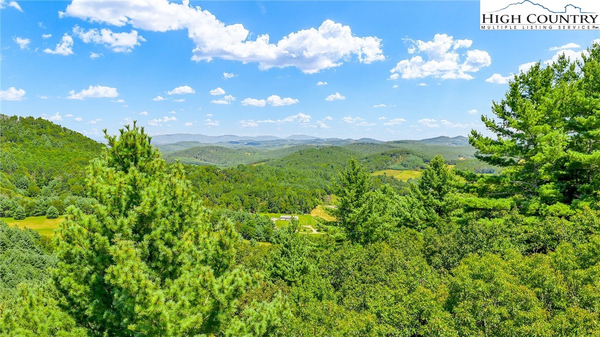 Low Gap Road Jefferson, NC 28640 - Photo 12 of 21 Gallery Image 12