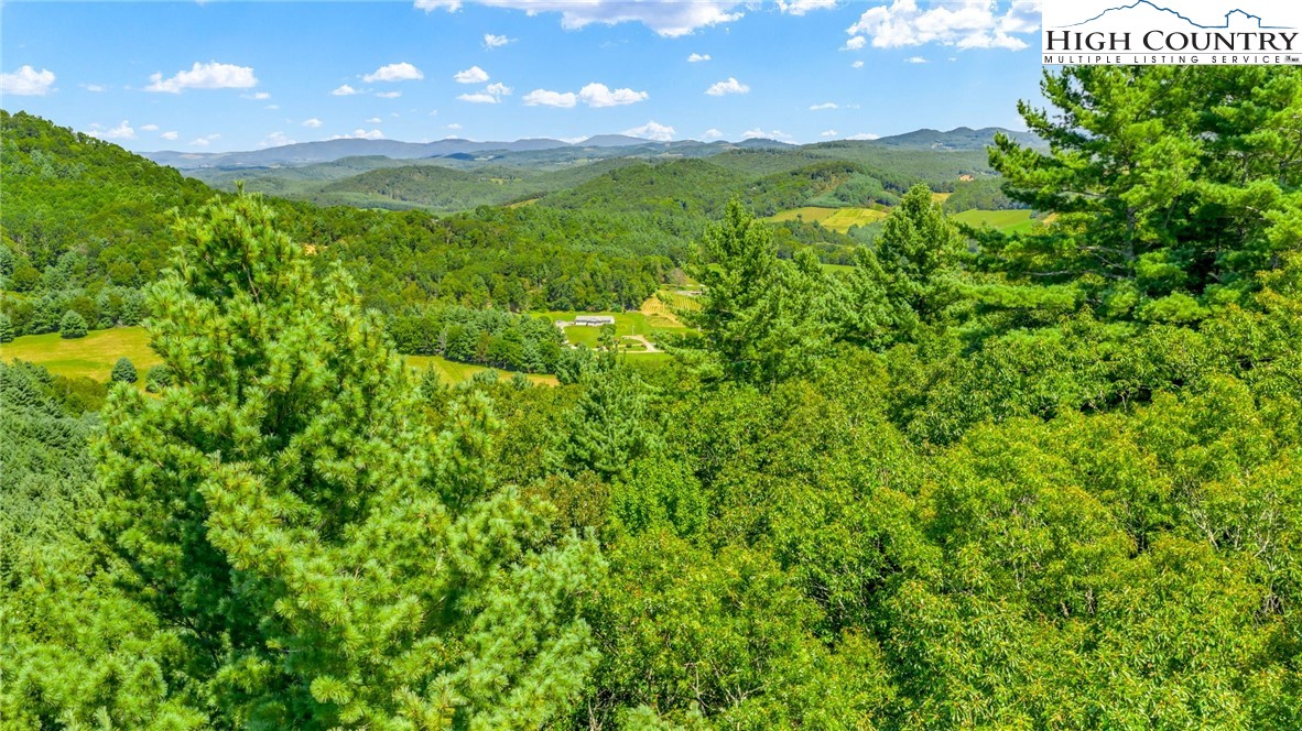 Low Gap Road Jefferson, NC 28640 - Photo 19 of 21 Gallery Image 19