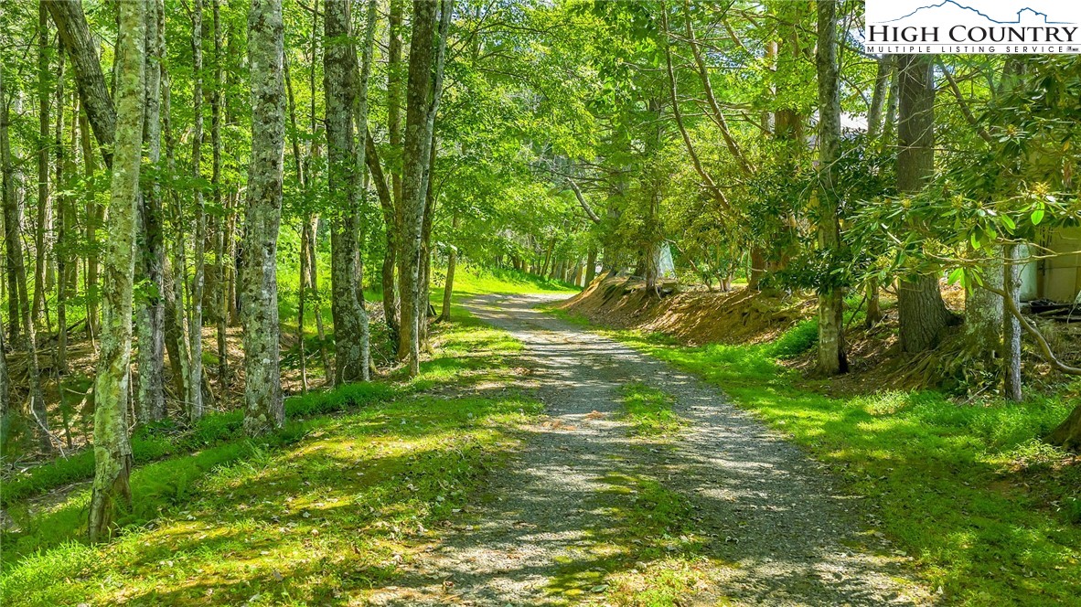 Low Gap Road Jefferson, NC 28640 - Photo 2 of 21 Gallery Image 2