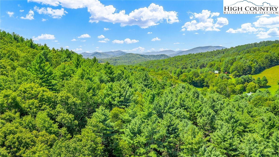 Low Gap Road Jefferson, NC 28640 - Photo 8 of 21 Gallery Image 8