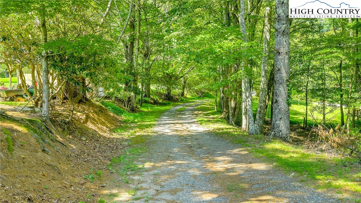 Low Gap Road Jefferson, NC 28640 - Photo 10 of 21 Gallery Image 10