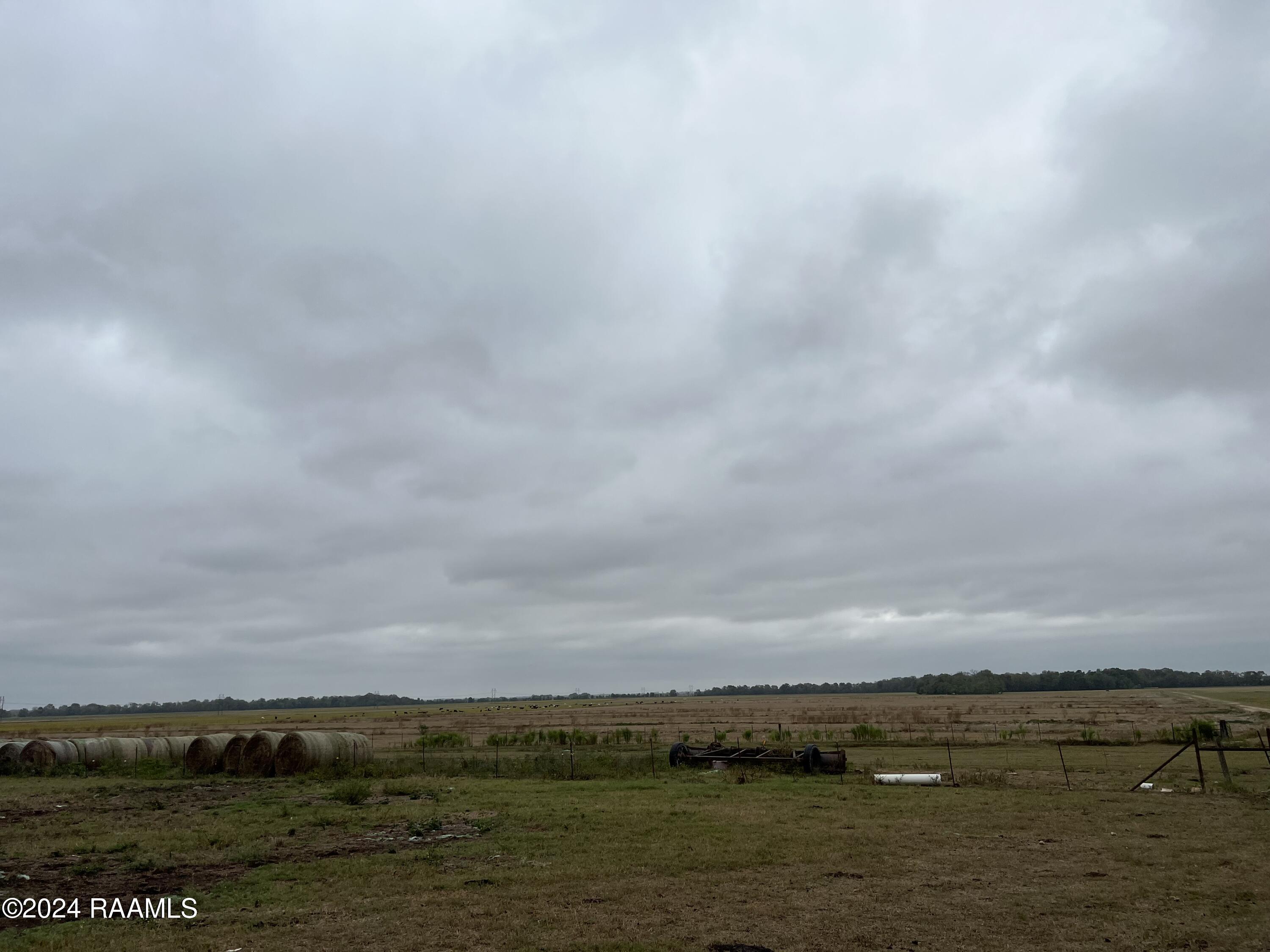 Tbd Red Camp Road Ville Platte, LA 70586 - Photo 1 of 1 IMG_6639