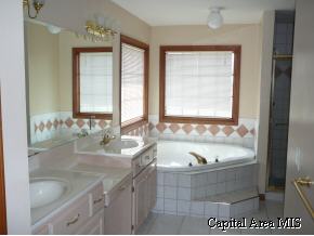 5773 Barlow Road Riverton, IL 62561 - Photo 6 of 7 Gallery Image 6