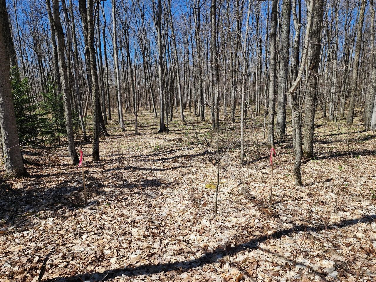 28 Goshawk Ridge Traverse City, MI 49684 - Photo 9 of 21