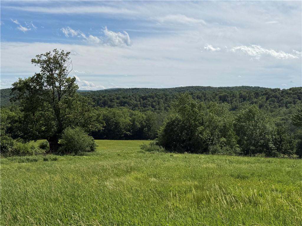 5243 Reed Road Friendship, NY 14739 - Photo 38 of 50