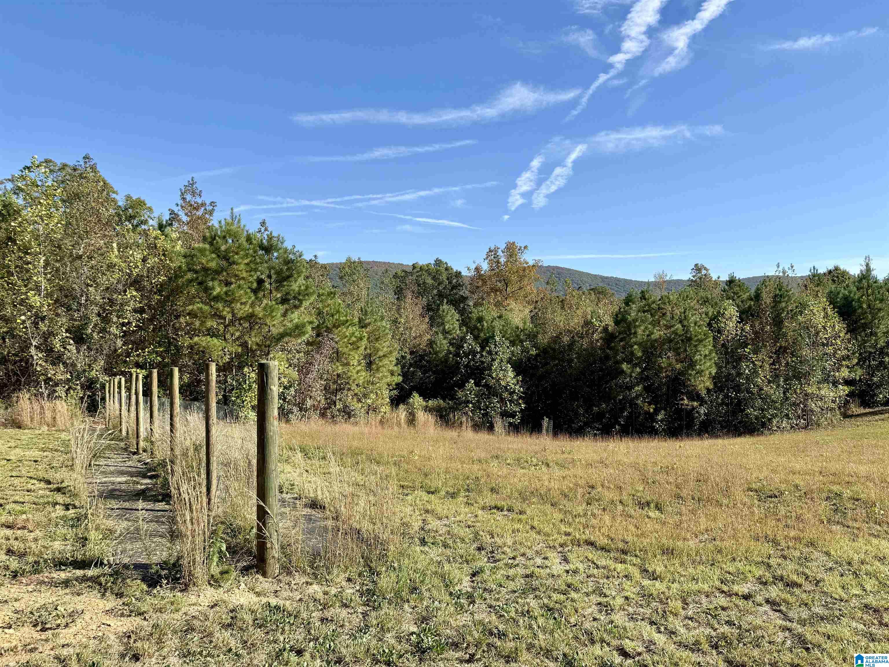 7070 Rendalia Motorway Talladega, AL 35160 - Photo 26 of 28