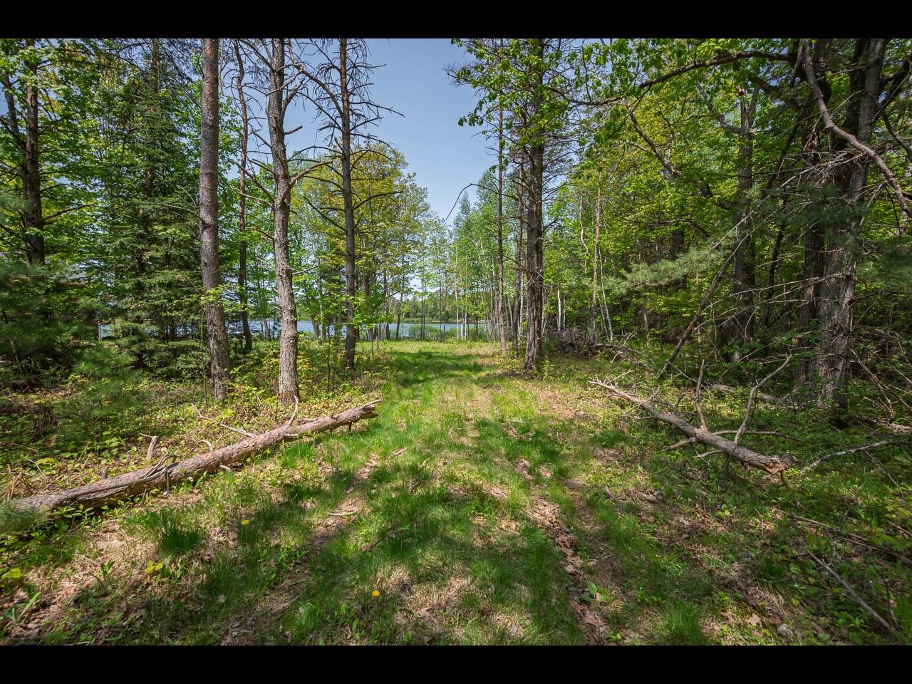 Lot 56 St Marys Road Eagle River, WI 54521 - Photo 5 of 18