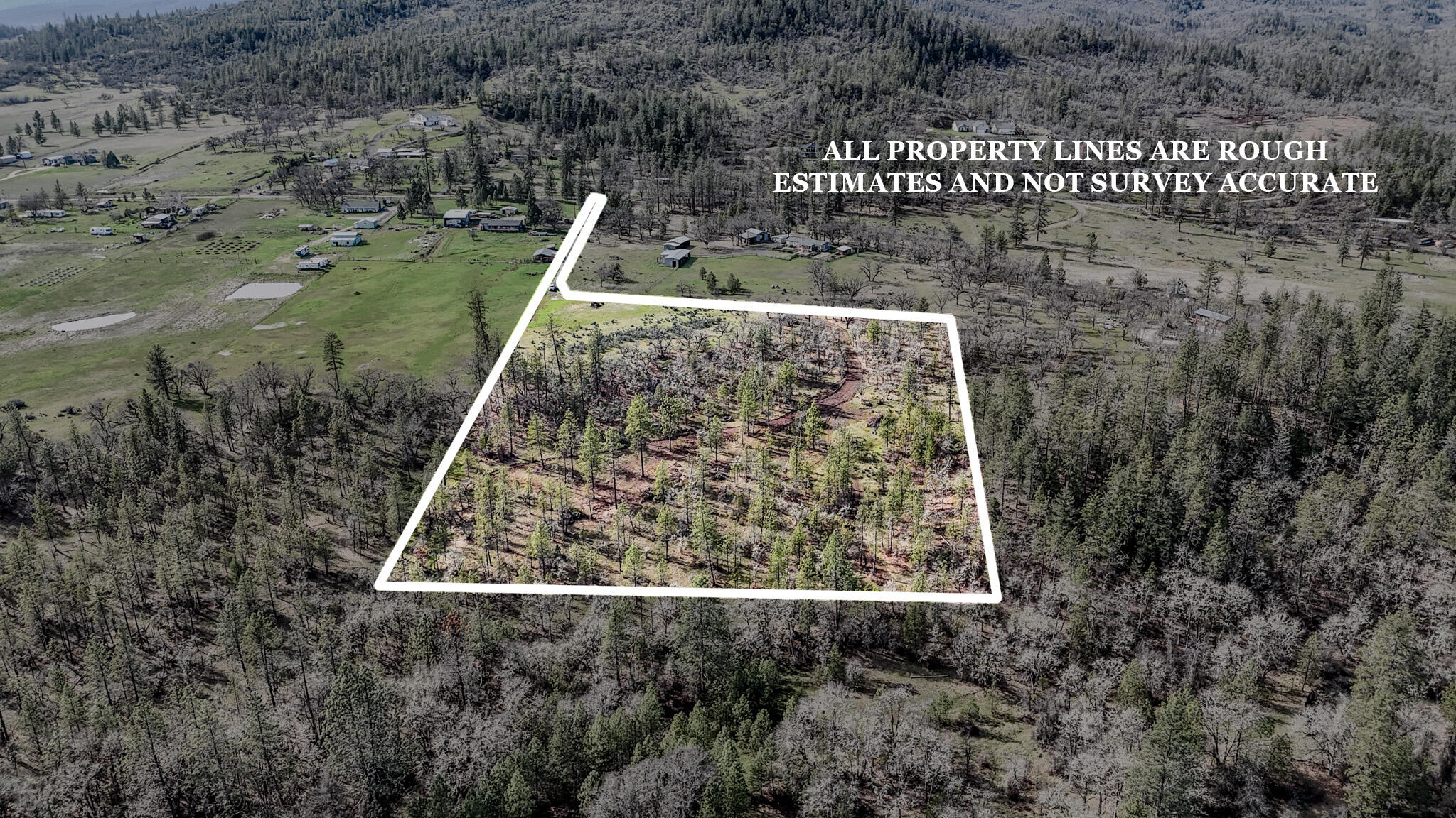 506 Greenleaf Drive Eagle Point, OR 97524 - Photo 4 of 38 Property Lines Leaf 2