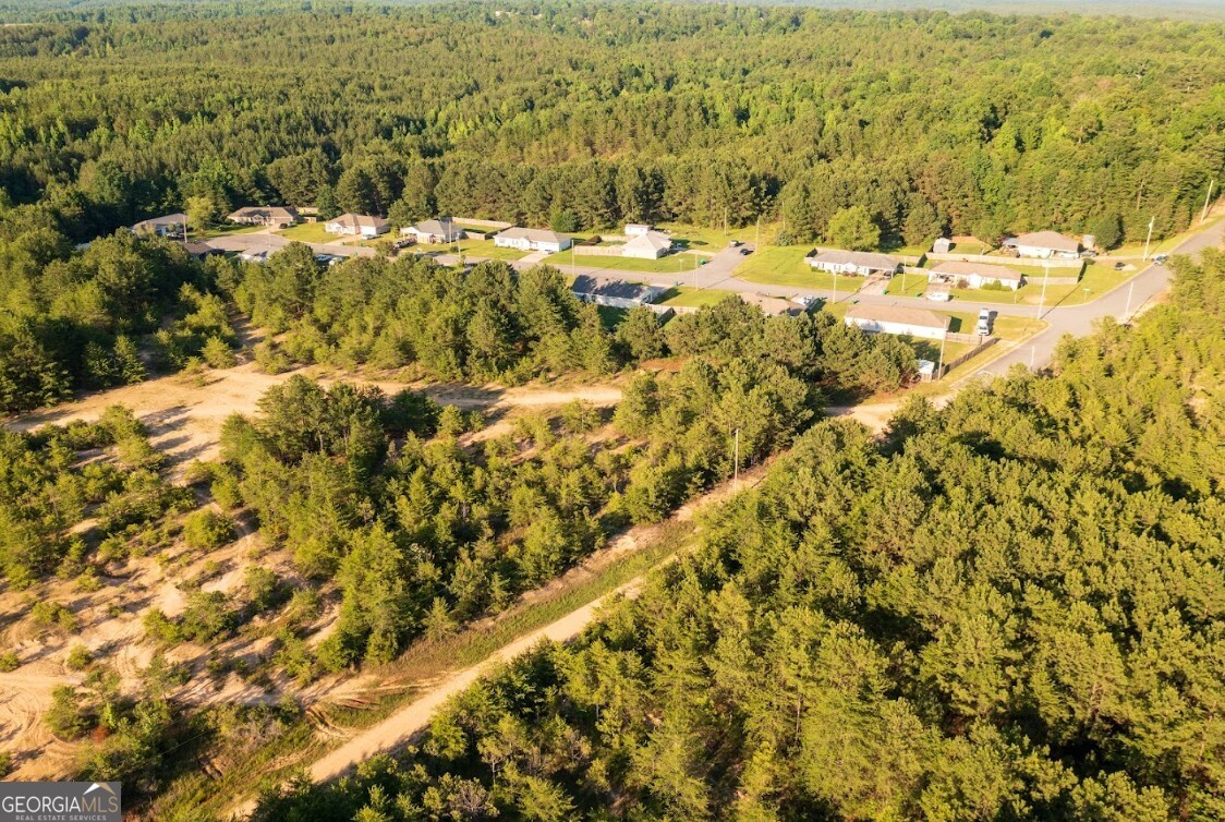 0 Gilmore Mine Road, Unit TRACT A/B Cottondale, AL 35453 - Photo 17 of 18