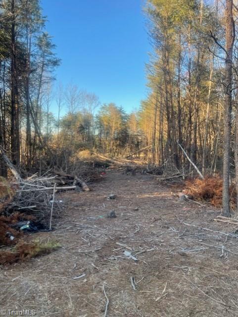 0 Center Road Boonville, NC 27011 - Photo 2 of 3 Gallery Image 2