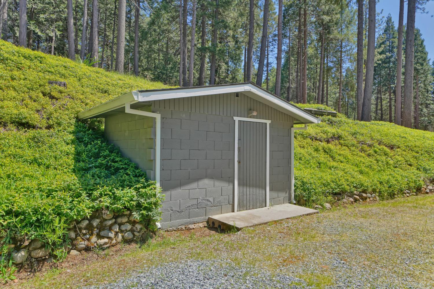 2320 Old Blair Mill Road Pollock Pines, CA 95726 - Photo 27 of 45 Root cellar! Extra storage! Has shelving inside.