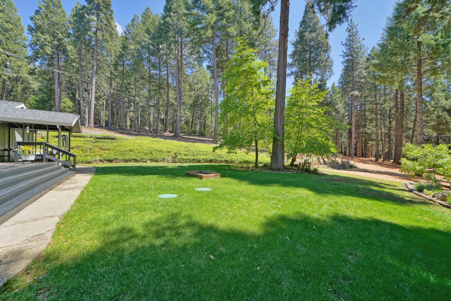 2320 Old Blair Mill Road Pollock Pines, CA 95726 - Photo 29 of 45 Beautiful backyard! Dogwood tree blooms annually!