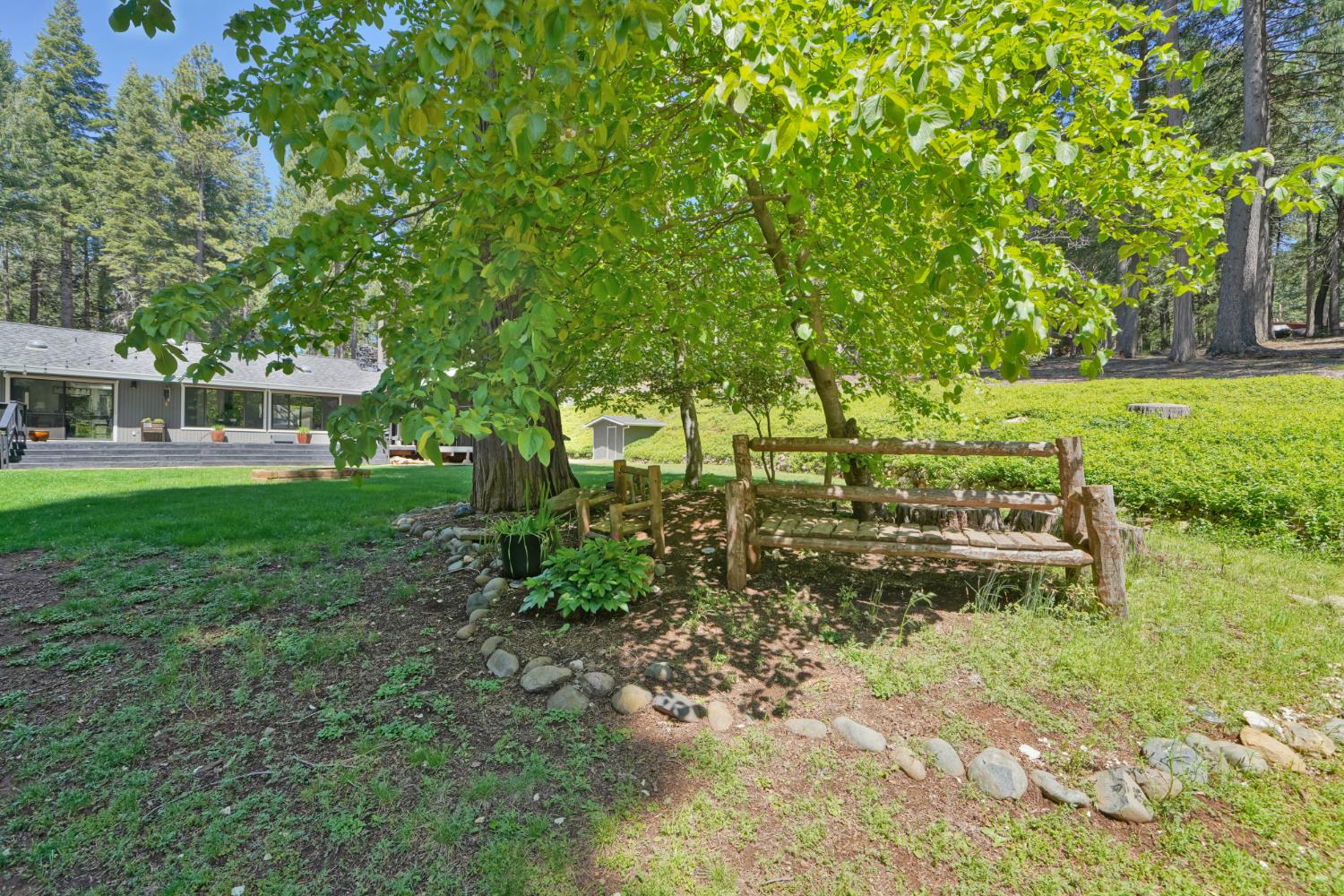2320 Old Blair Mill Road Pollock Pines, CA 95726 - Photo 32 of 45