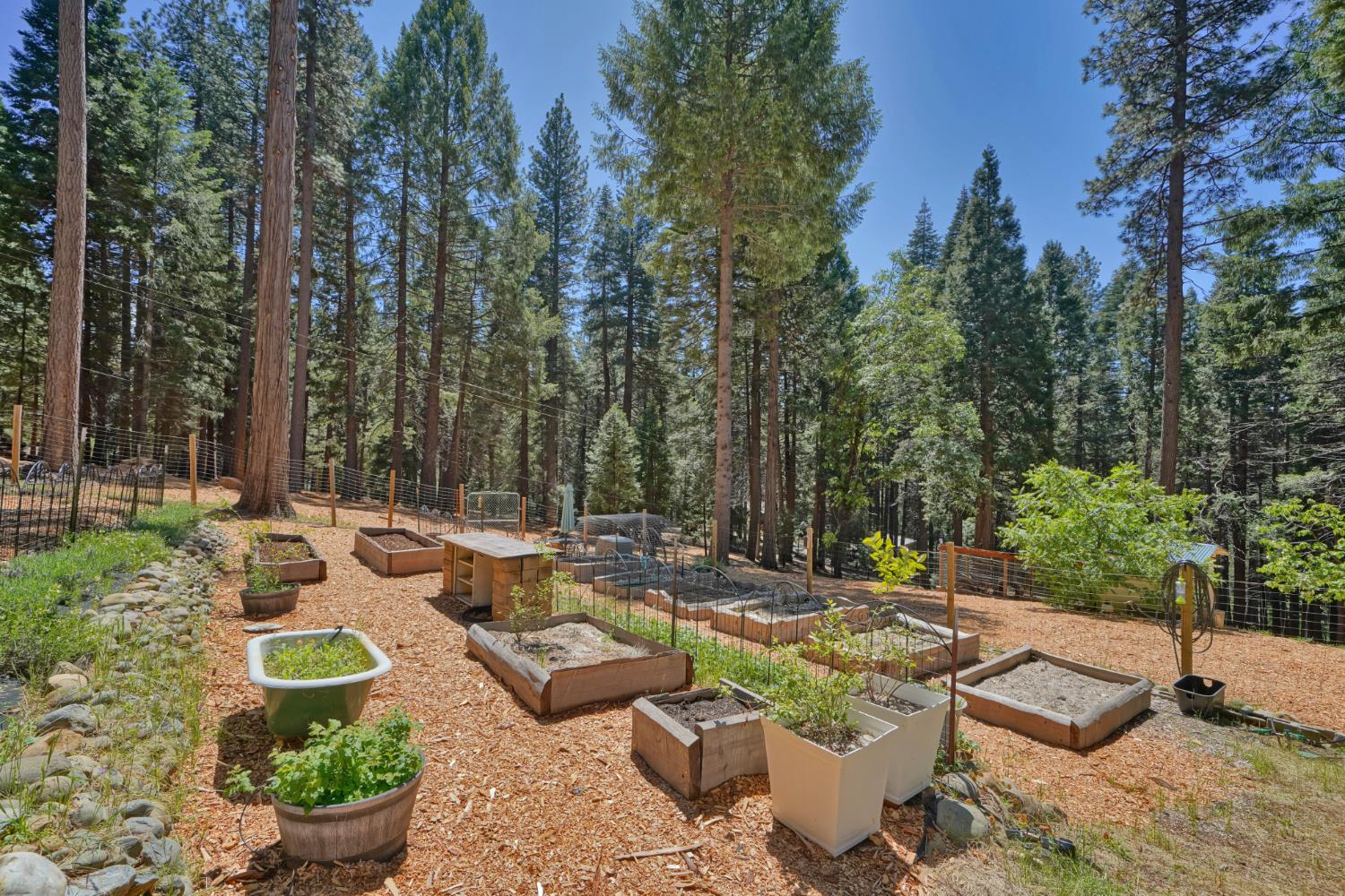 2320 Old Blair Mill Road Pollock Pines, CA 95726 - Photo 33 of 45 Fenced garden area!