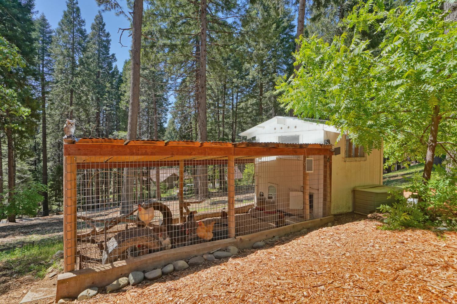2320 Old Blair Mill Road Pollock Pines, CA 95726 - Photo 35 of 45 Darling chicken coop.