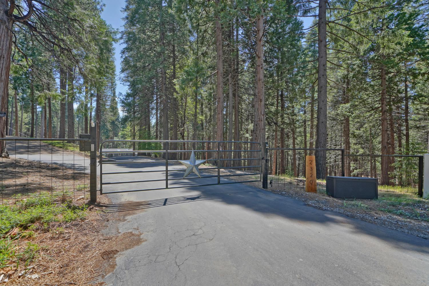 2320 Old Blair Mill Road Pollock Pines, CA 95726 - Photo 38 of 45 Electronic gate.