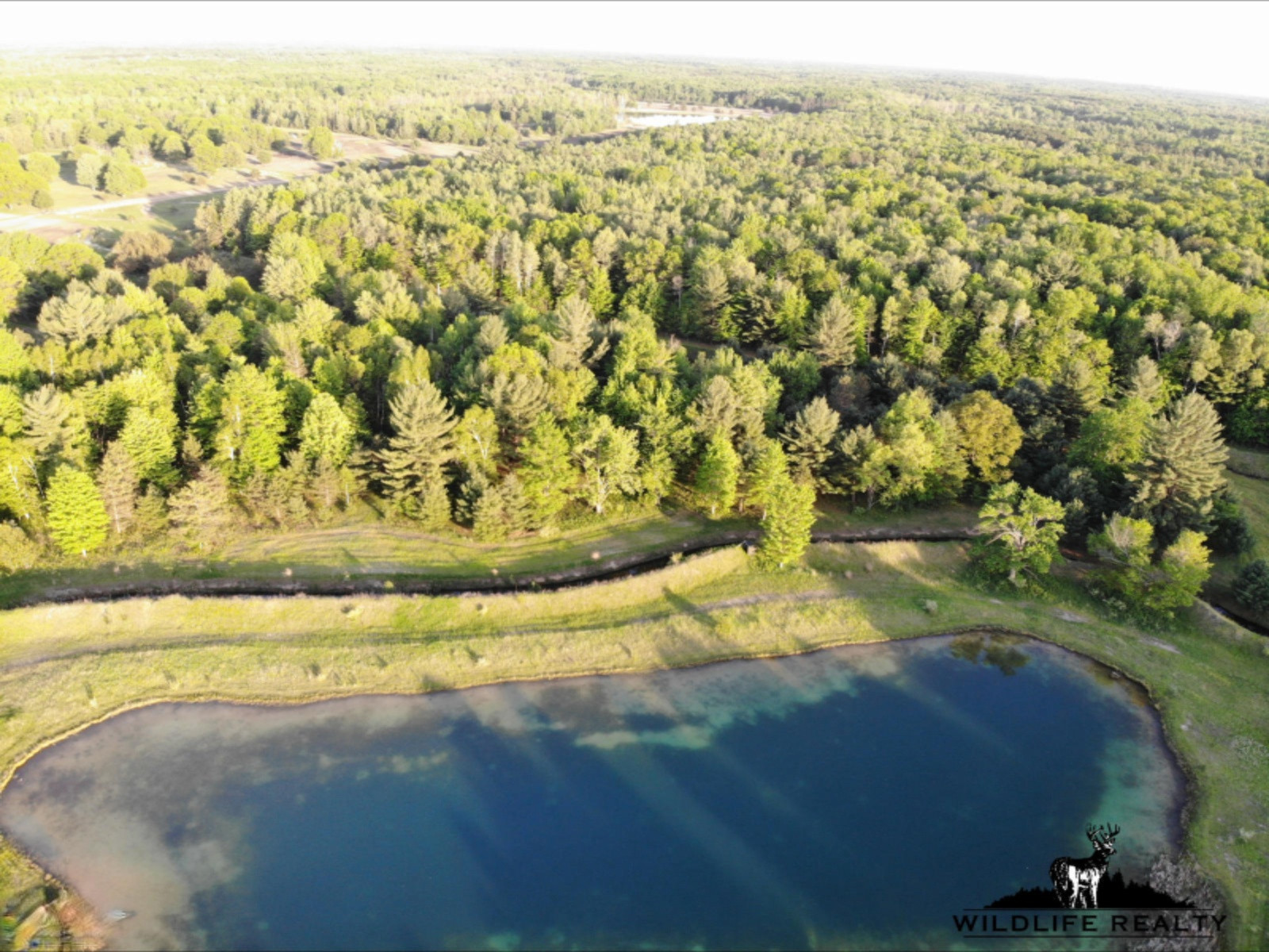 775 Sugar River Road Gladwin, MI 48624 - Photo 103 of 124 107
