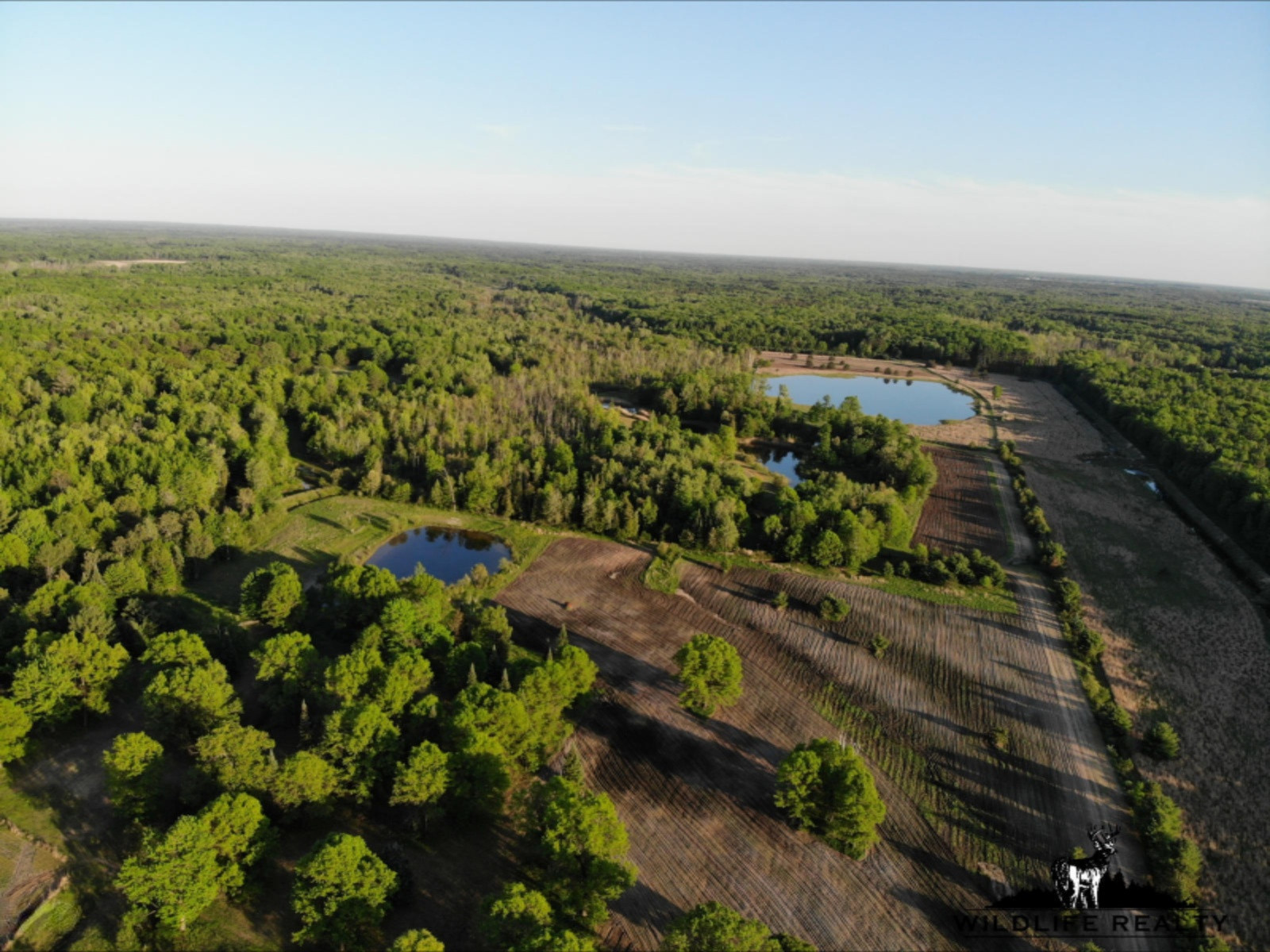 775 Sugar River Road Gladwin, MI 48624 - Photo 11 of 124 10